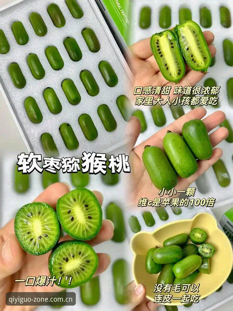 奇异果体育平台老用户心得：别再被“版本过旧”劝退，登录、看数据、追更新一篇讲透
